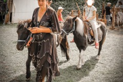 IMG_1262