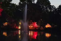 IMG_8250